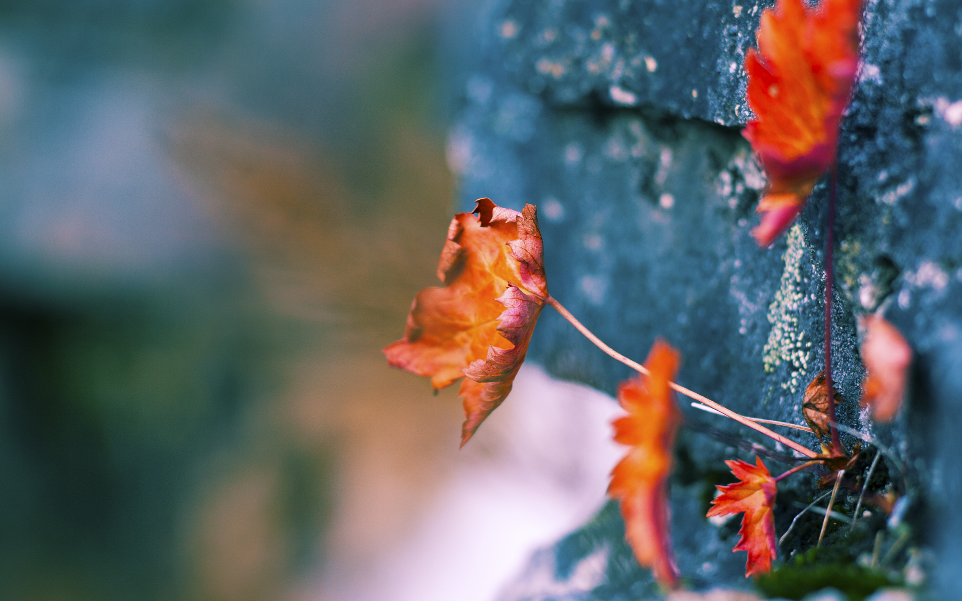 DOTA2赛事选手伤病问题:高强度训练,如何保护选手健康?,dota2英雄伤害