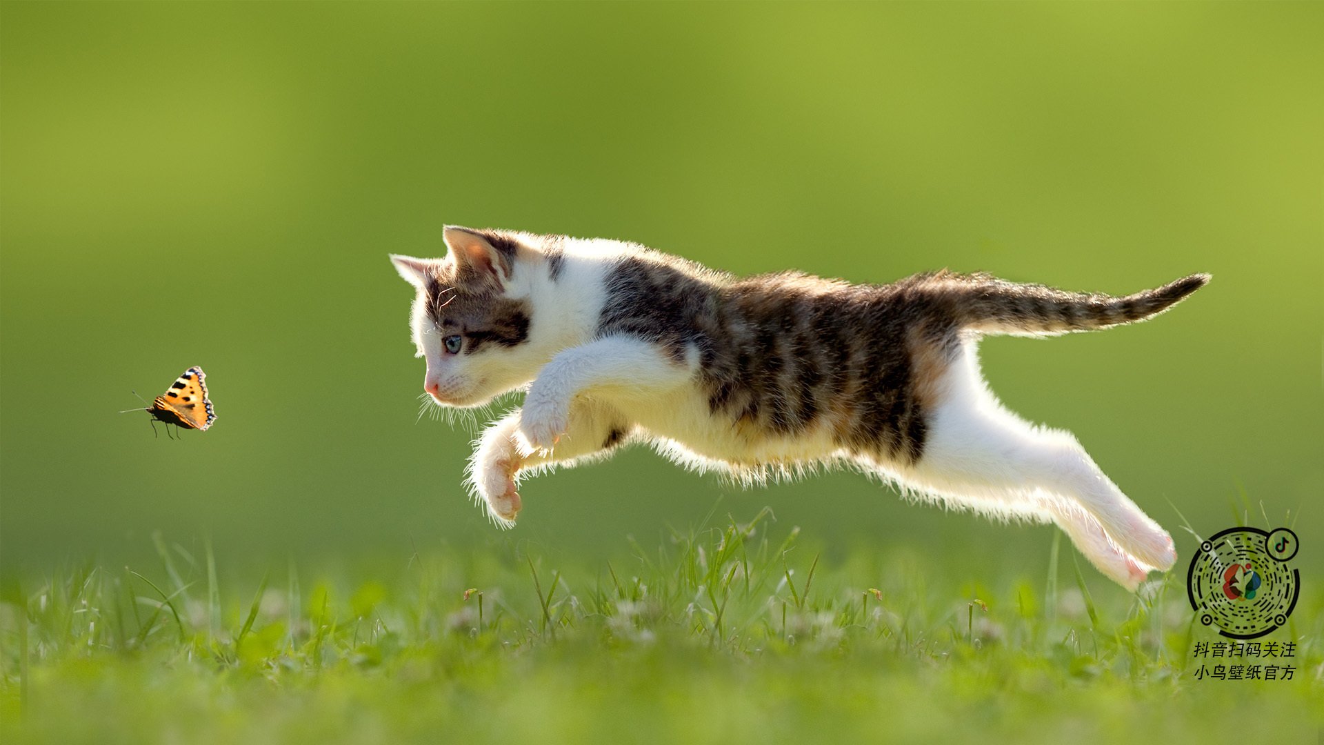 《【文化传承】电竞如何成为青少年价值观的新引擎?》,如何做一个电竞