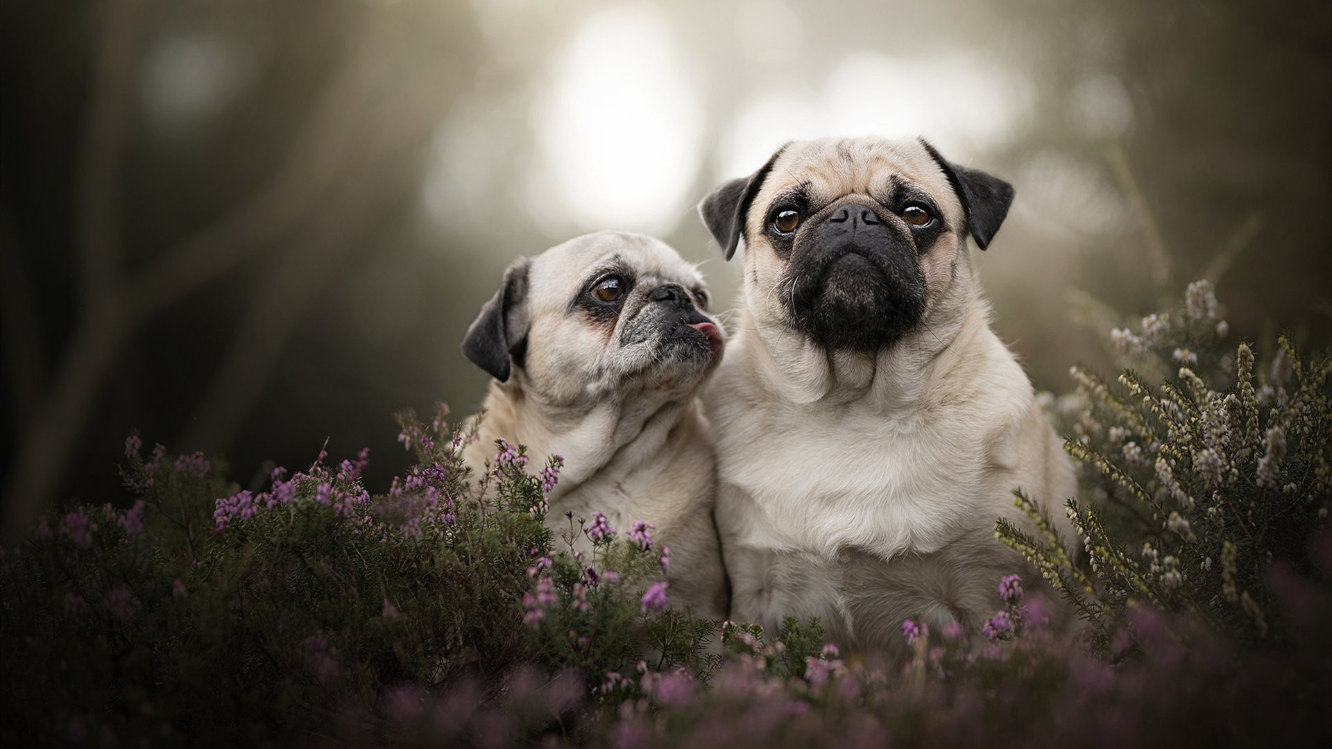 爱游戏娱乐平台-《【未来展望】2025年电竞行业或迎来新一轮爆发》，未来20年电竞发展趋势