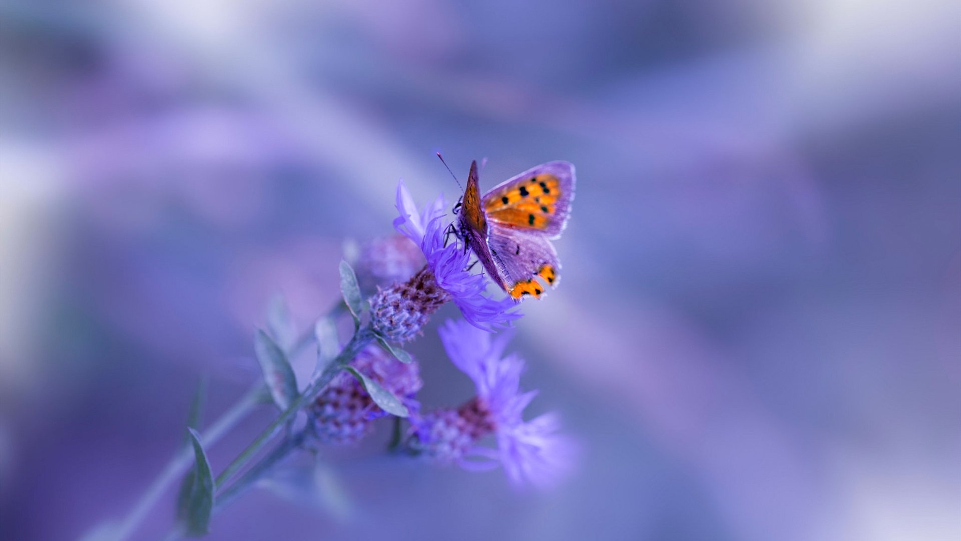 《【文化探讨】电竞如何成为青少年的新文化符号?》,电竞青年群体