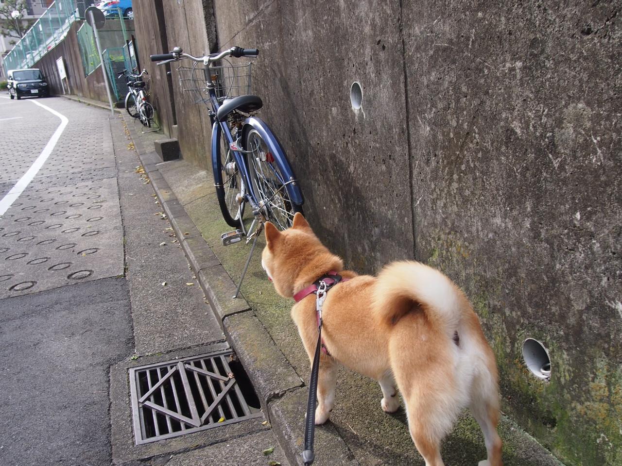 【战术解析】丁俊晖如何利用攻守策略掌控全场,丁俊晖球技到底如何