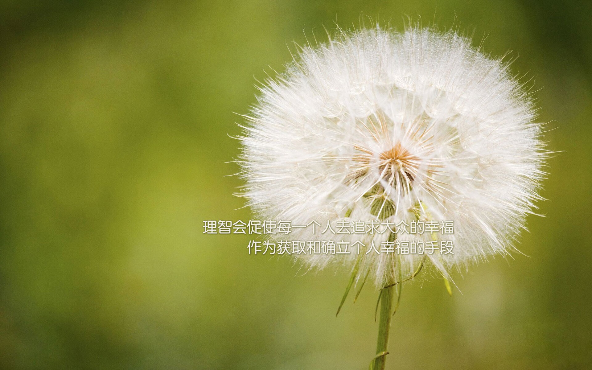 【极速比赛时代】比赛节奏由新规则重塑，运动员如何应变？，竞速比赛规则