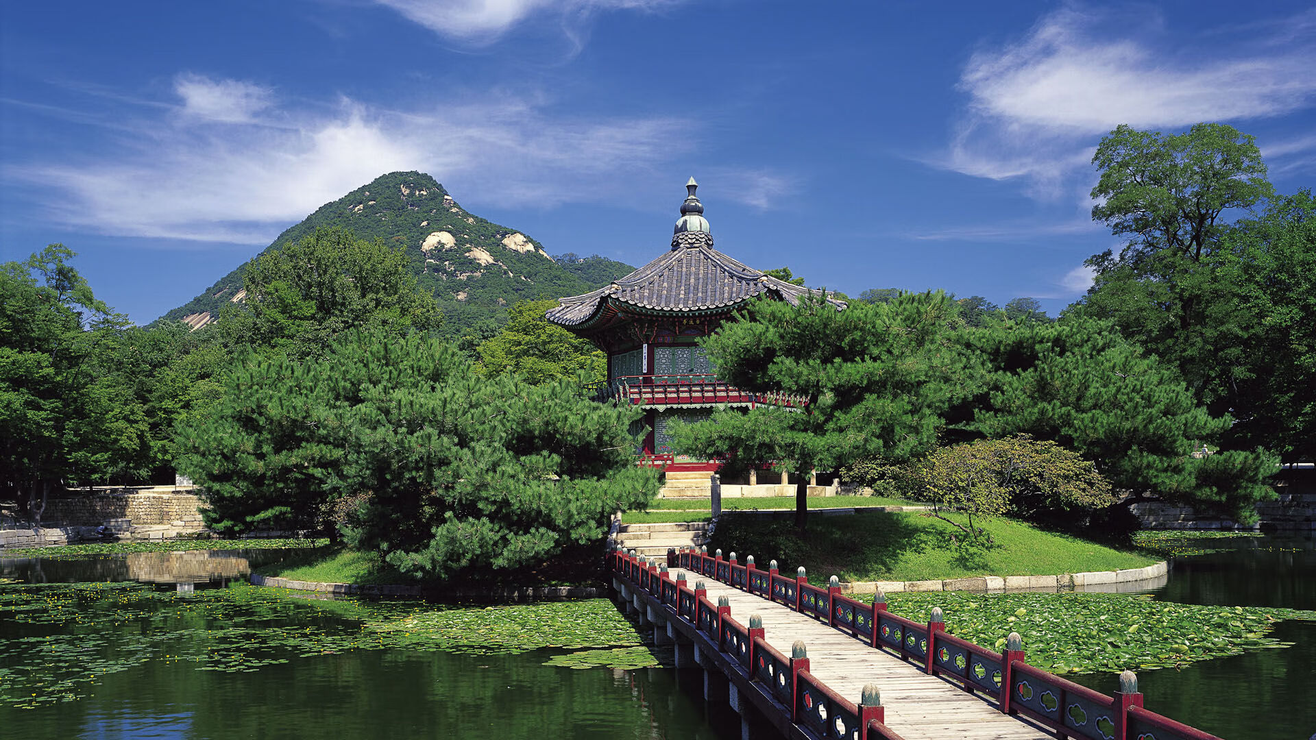 【未来趋势】预测季后赛最佳战术方案,季后赛概率