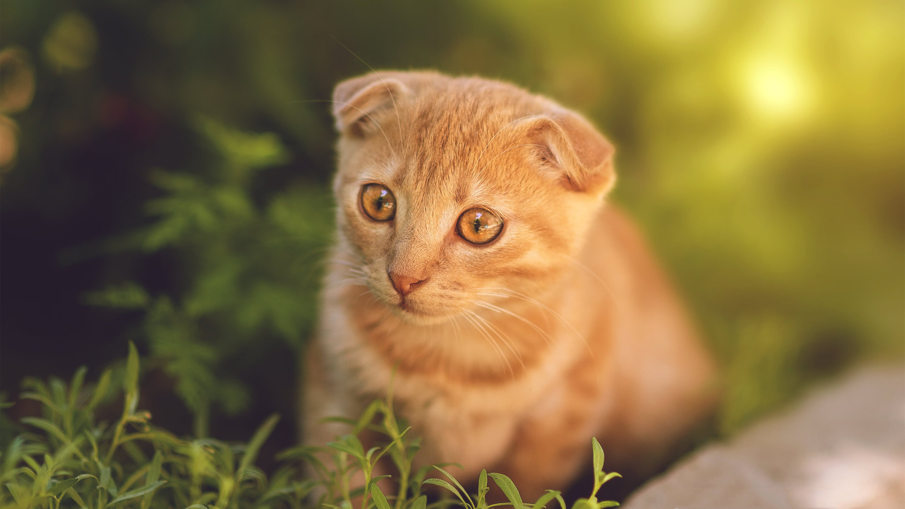 AYX体育官网-【数据解读】赛季关键指标变化及其影响，赛季制度