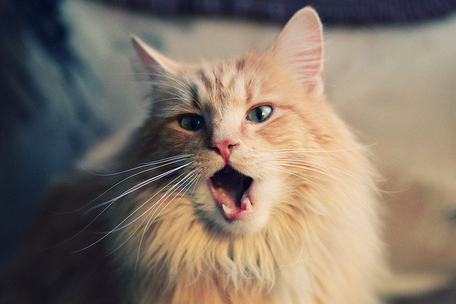 _网球场地升级，提升比赛体验的创新措施_，网球场地的要求