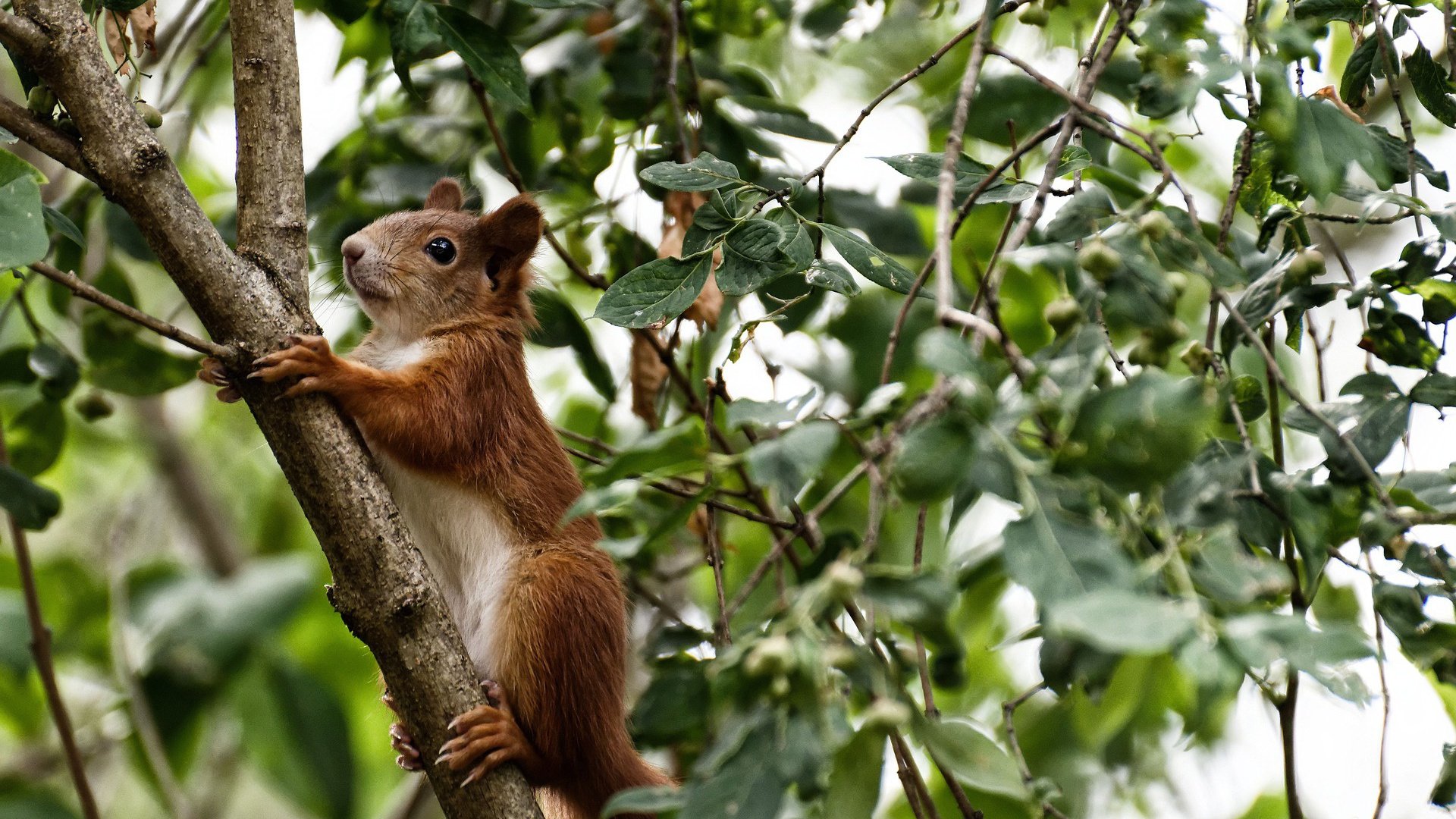 爱游戏体育-_运动员日常：训练、休闲、互动全纪录_，运动员的日常