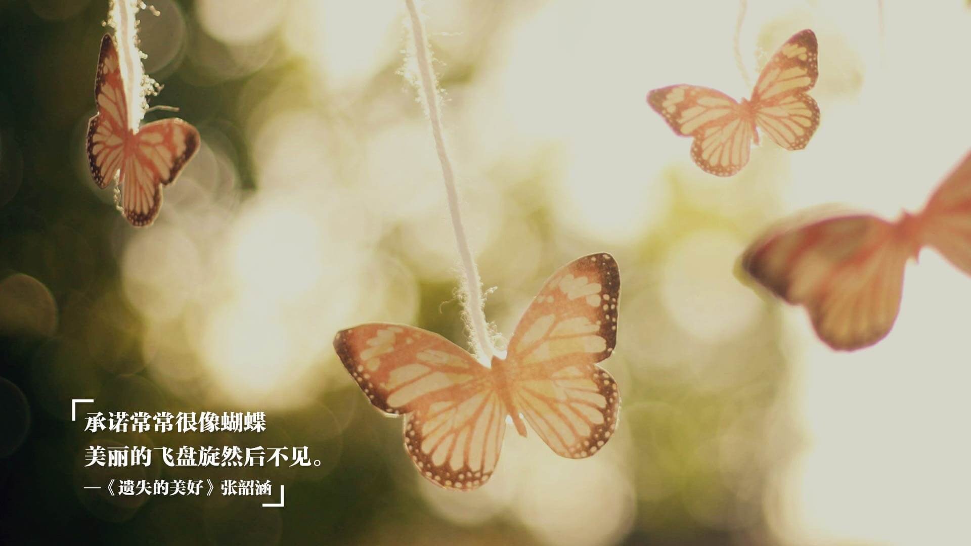 中国男篮集训营新战术理念引领训练新风潮，中国男篮集训队在干什么