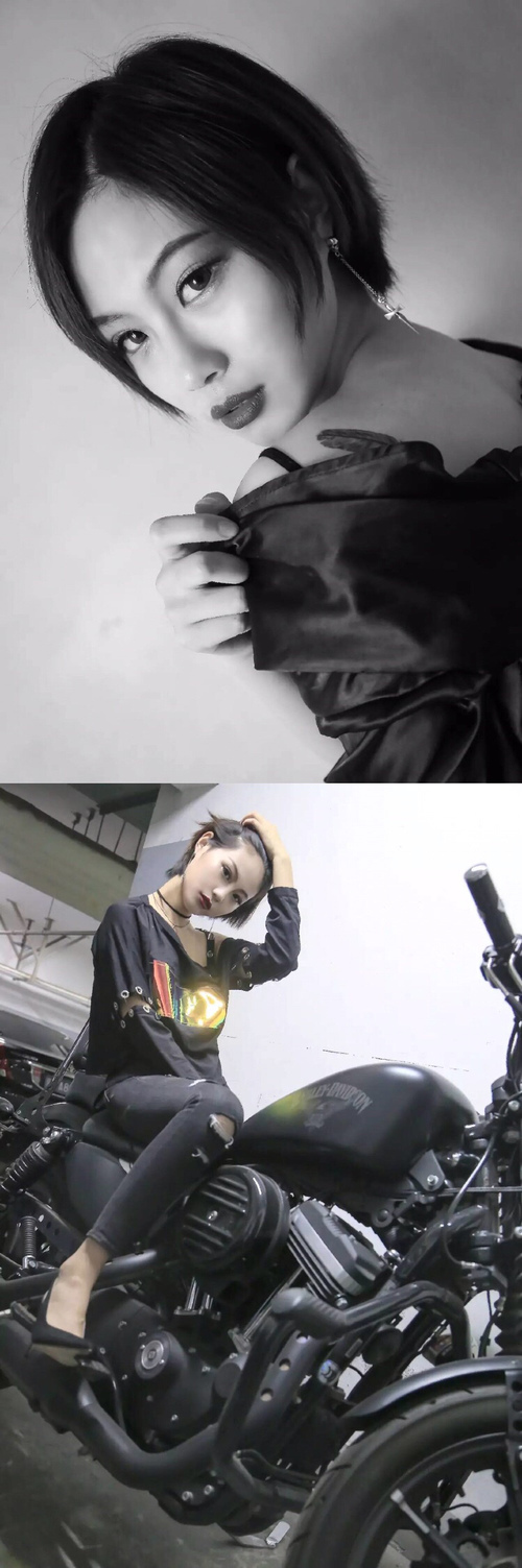 伊朗马术协会与非洲马术协会开展技术援助项目，提升当地水平。