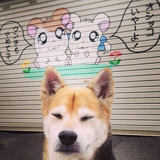 AYX GAMING-“足球+科技”融合创新成果引领行业新风尚，行业快速提档升级，足球创新设计