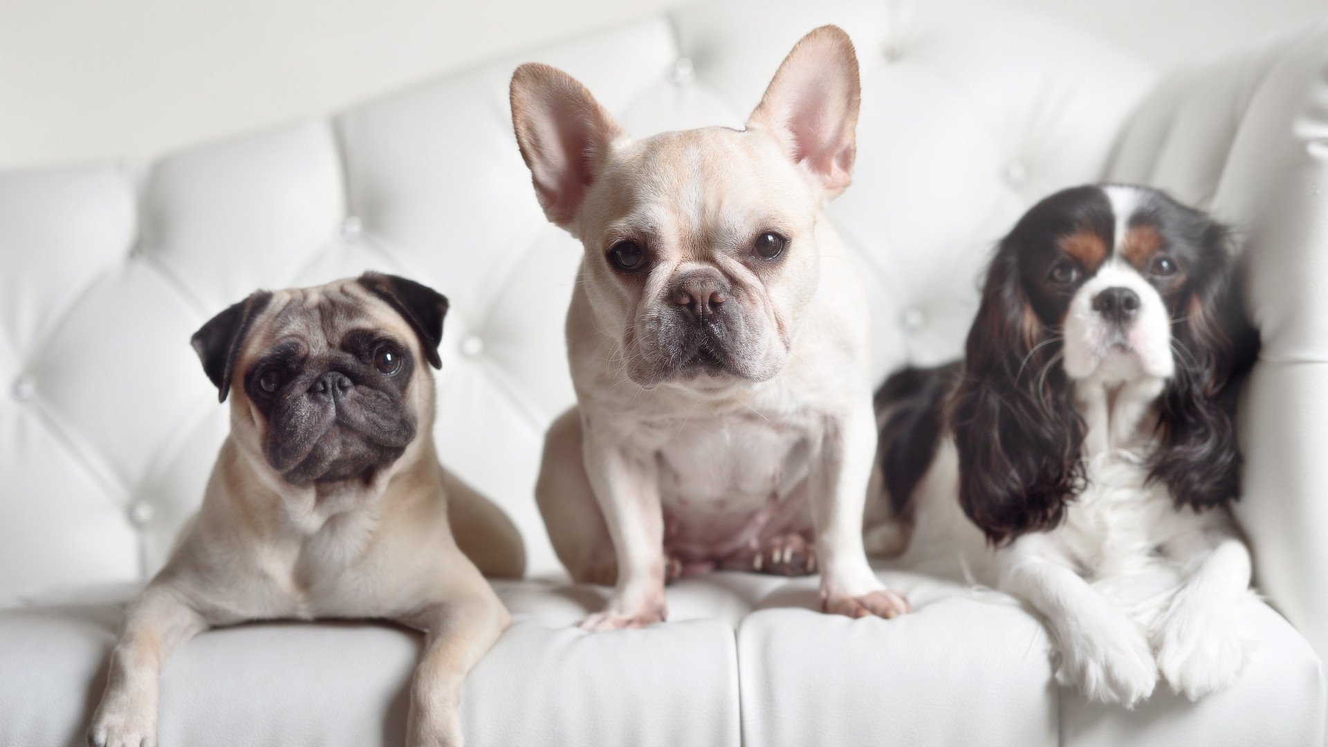 【投手心理战】如何在比赛中保持冷静应对长局压力?,怎样在比赛中调整心态