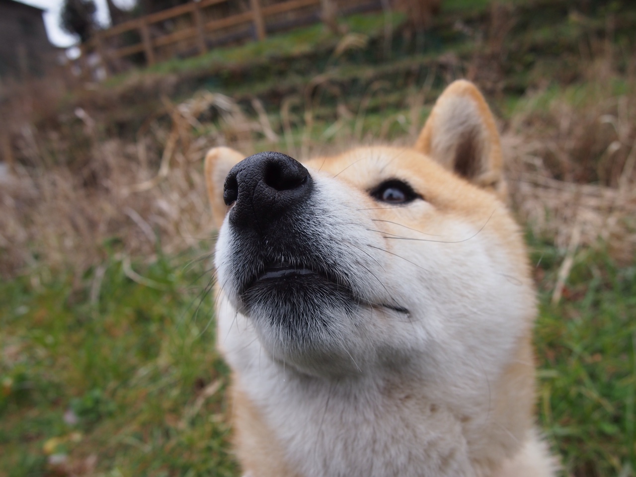 中国足球为亚运会选拔最强阵容,中国足球为亚运会选拔最强阵容是谁