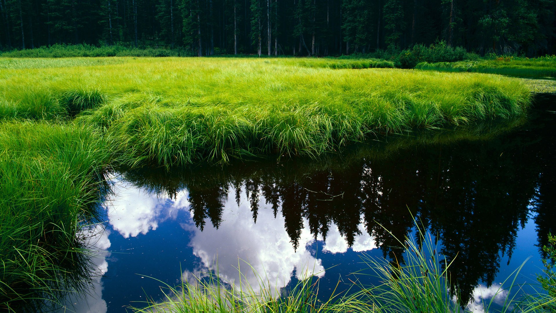 爱游戏在线登录入口-全国青少年“篮球+互联网”创新平台正式上线，开启数字青训新空间