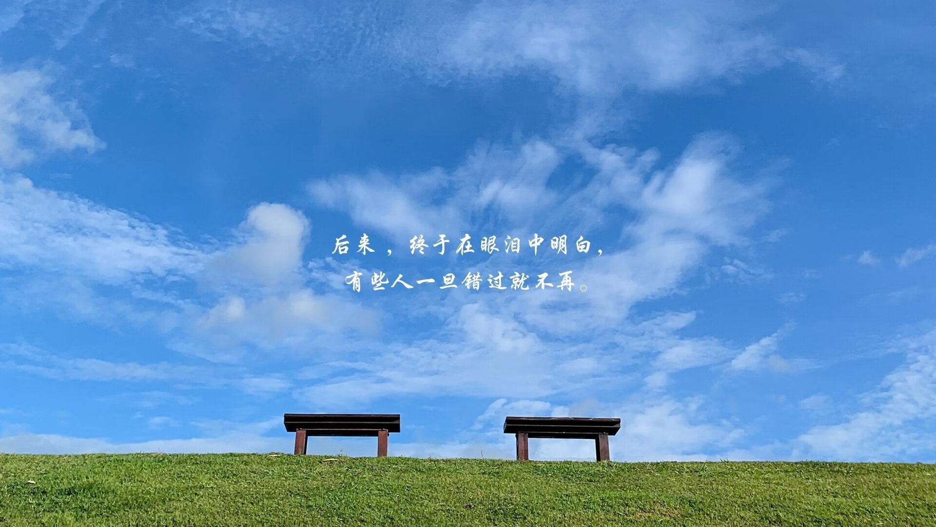 全国极限飞盘冠军赛,团队配合再升级,极限飞盘世界锦标赛