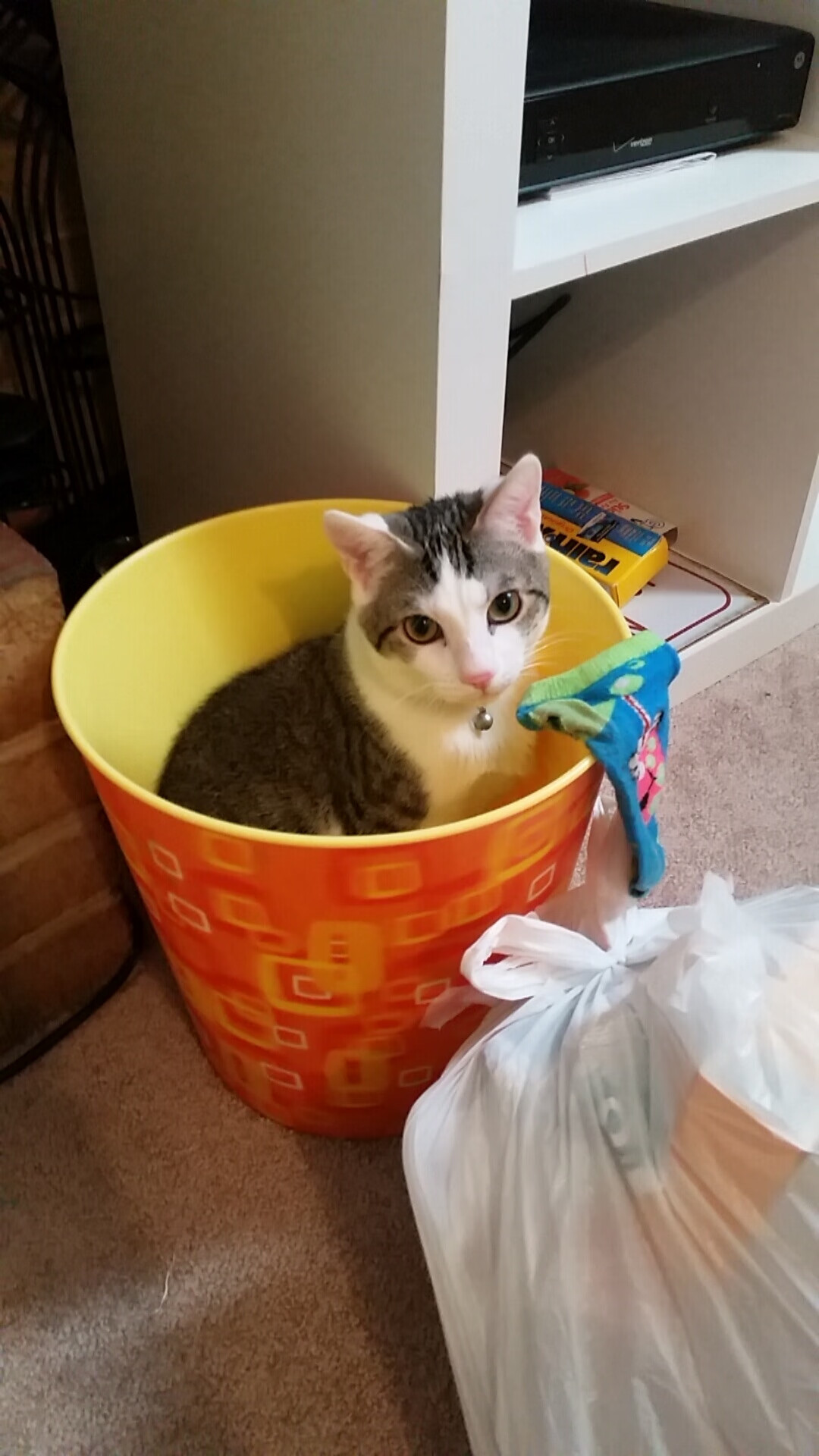 全国青少年“梦想跑”公益篮球马拉松在广州完美举行，马拉松公益活动