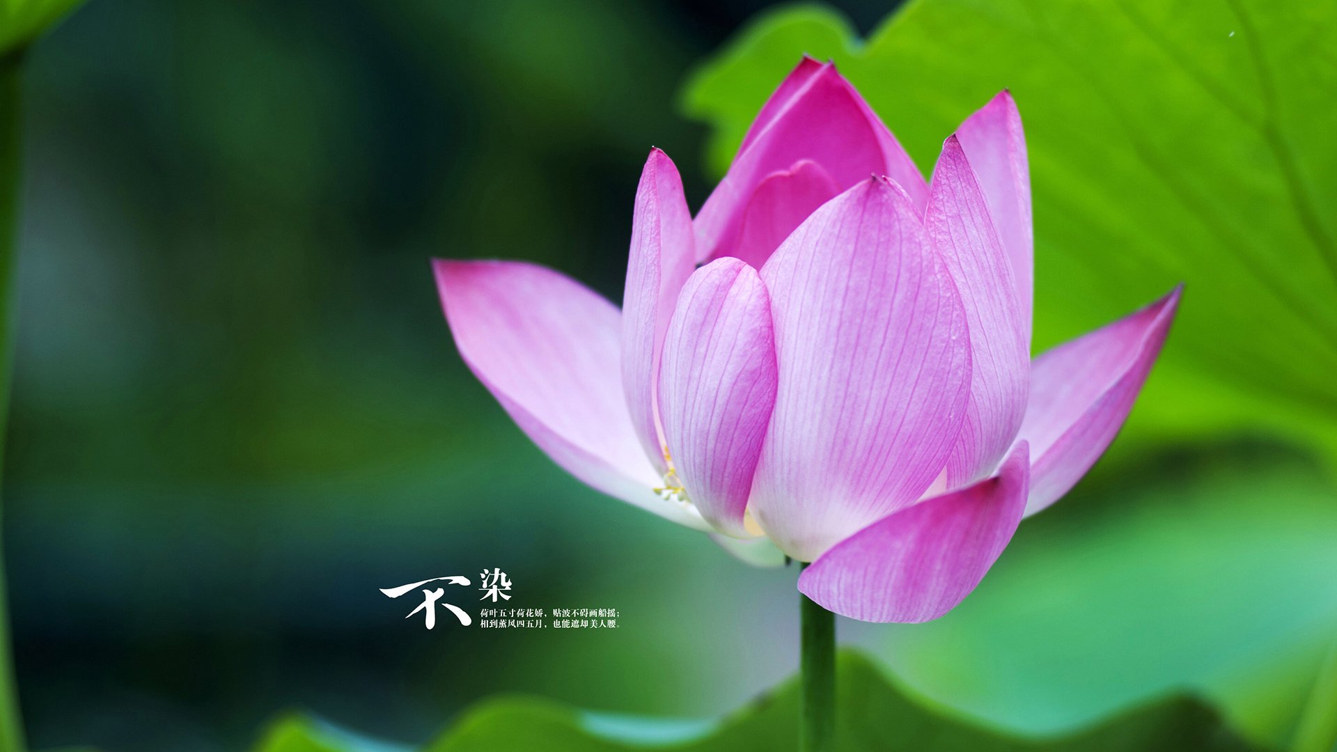 AYX体育-全国青少年“健身行走”公益活动在昆明拉开序幕，推广健康生活方式