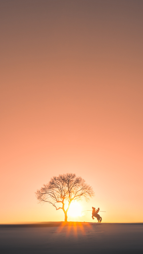 奇才队首位印度裔球员登场，全球化再迈一步，奇才队首位印度裔球员登场,全球化再迈一步是什么