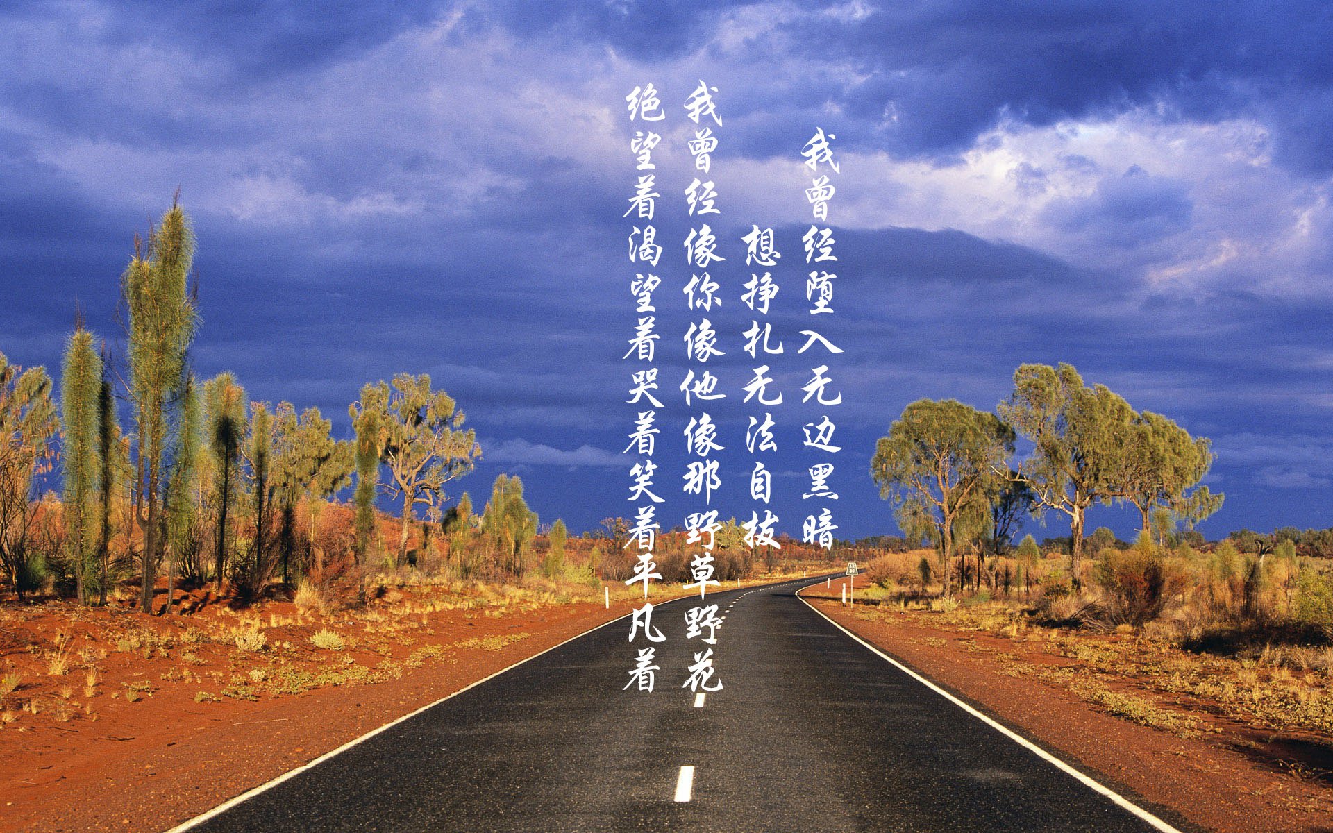 爱游戏体育（AYX）官方APP下载-巴西队在2024年南美锦标赛中排名第八，巴西南美世预赛大名单