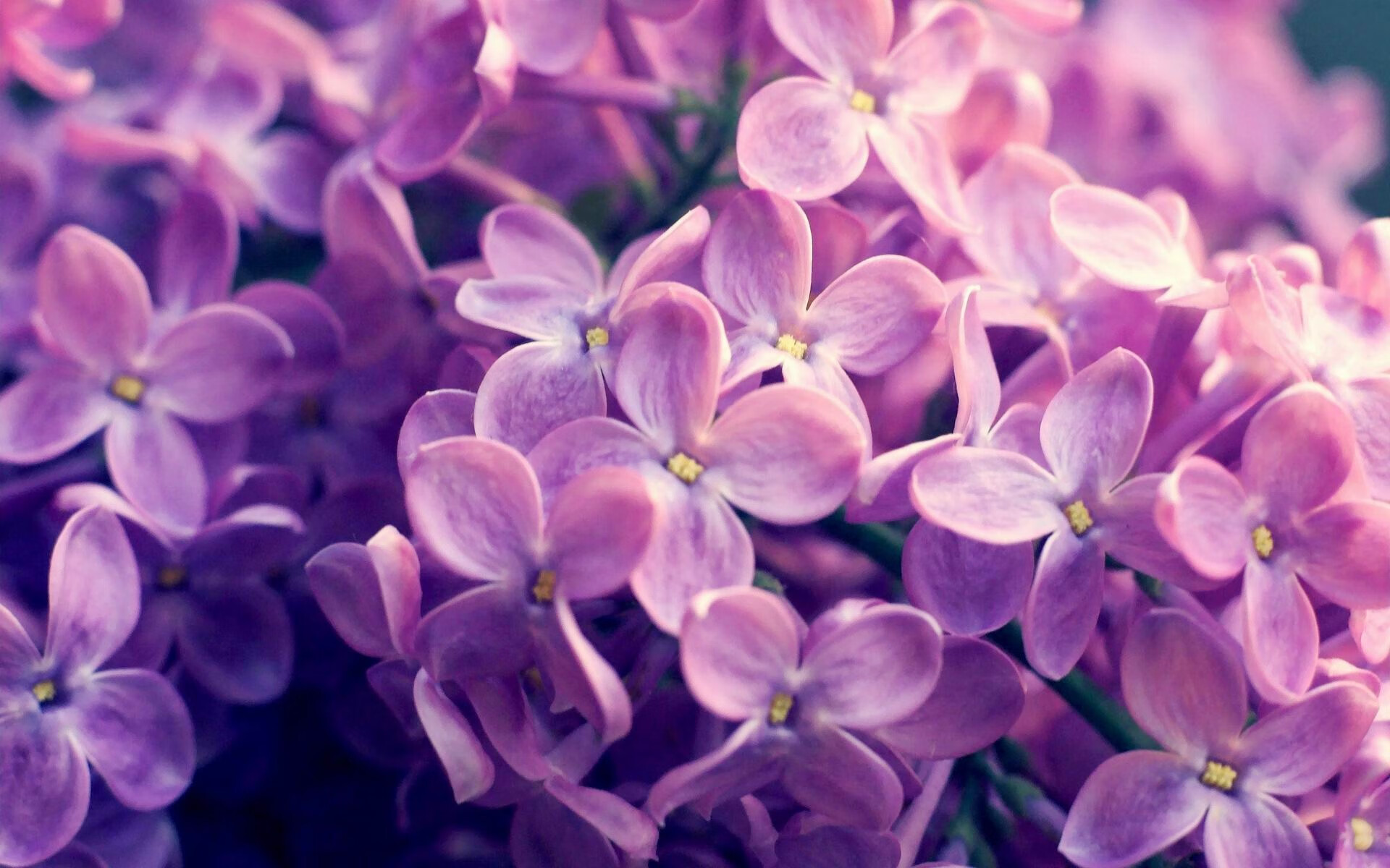 游戏化赛事：新潮互动体验引领趋势，游戏化平台