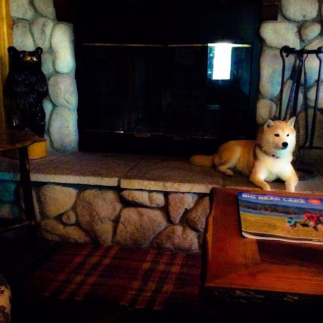 爱游戏官方-裁判判罚新规：改变比赛节奏的“秘密武器”，裁判的判法