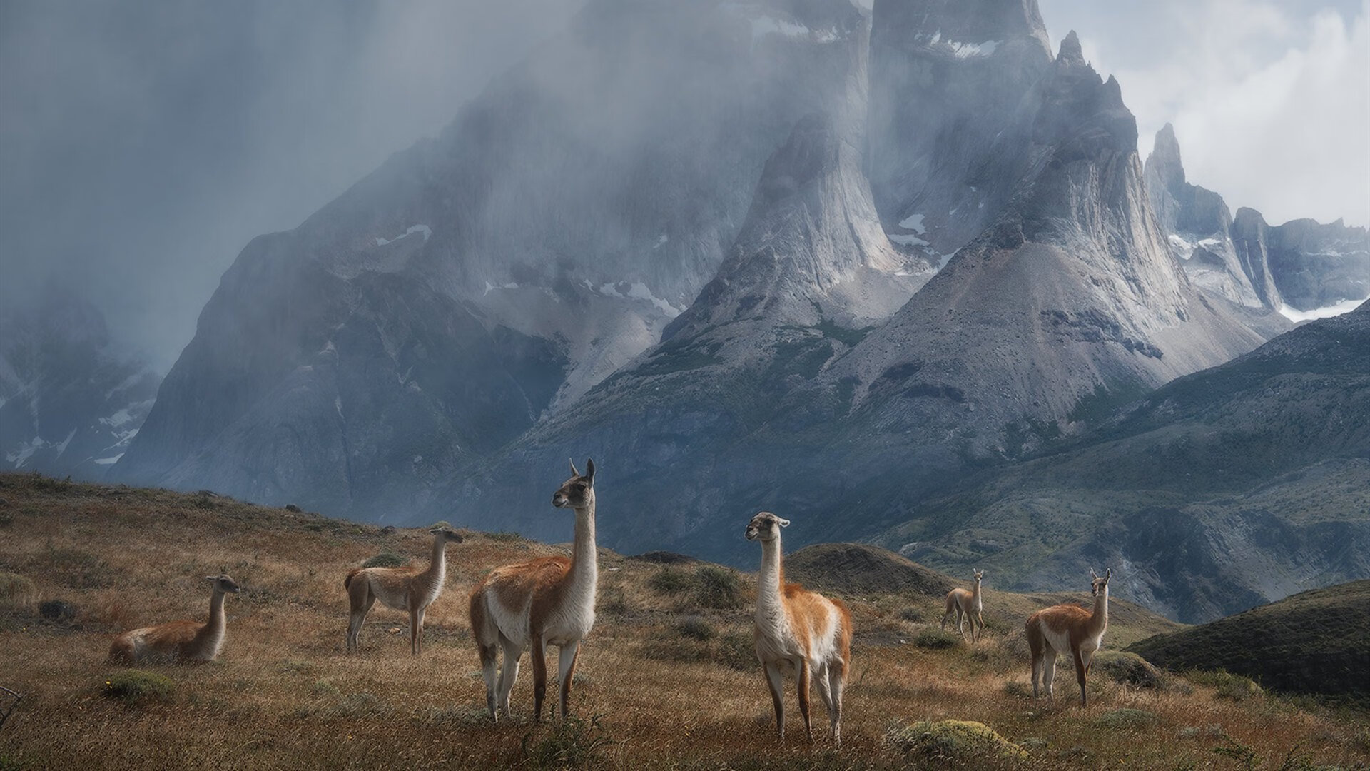 造梦之旅：年轻球员实现梦想的成长故事，造梦者官方网站