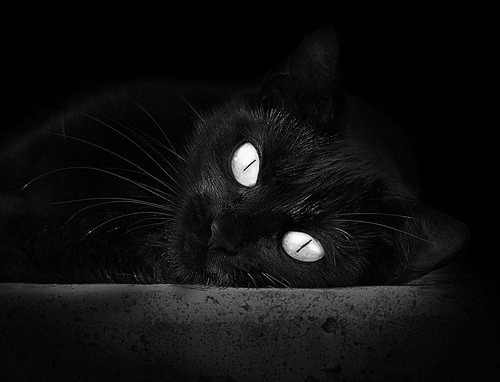 莱万破纪录，德甲历史第一人继续刷新个人纪录，德甲历史射手榜最新排名 莱万