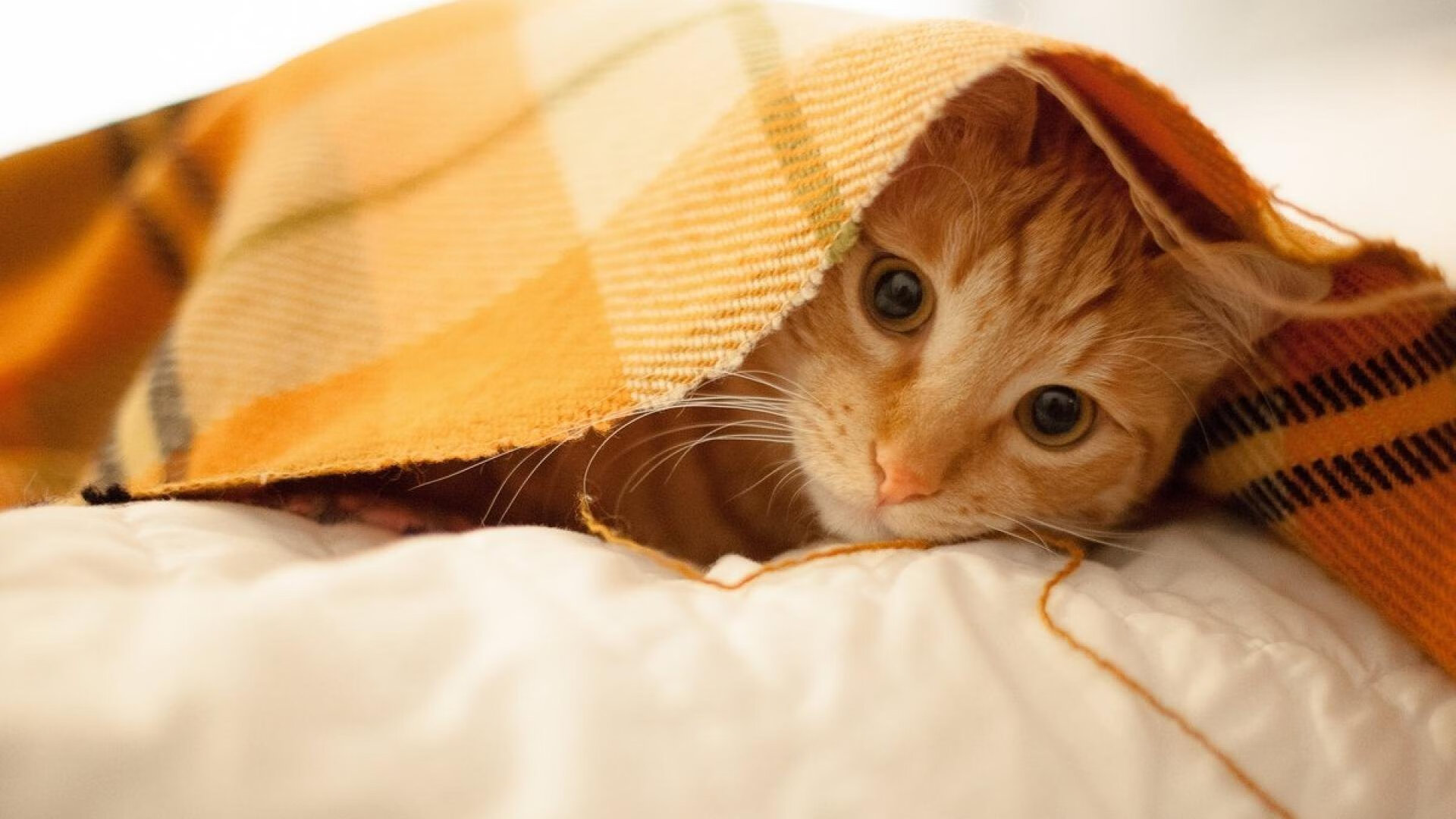 中超联赛推广校园足球，培养未来之星，中超联赛宣传片