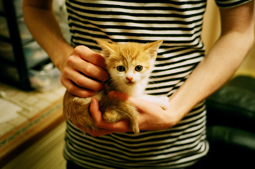 跳水国家队新星崭露头角,展望巴黎奥运,跳水国家队领队