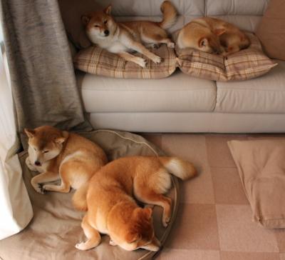 LCK赛季关键战绩回顾,lck2021战绩