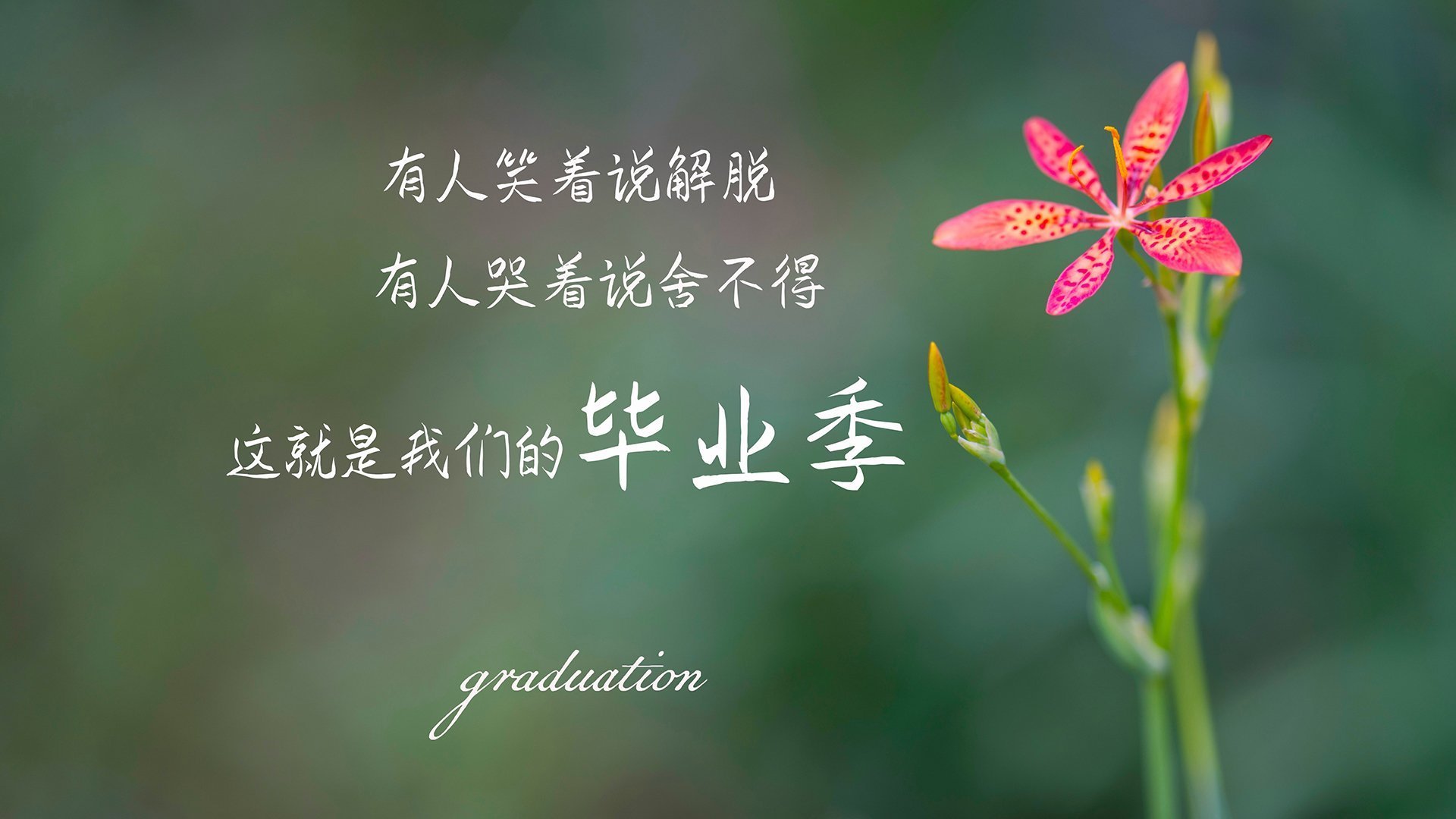 爱游戏综合娱乐-斯洛文尼亚反击成功，逆转胜局牢记人心，斯洛文尼亚比赛视频