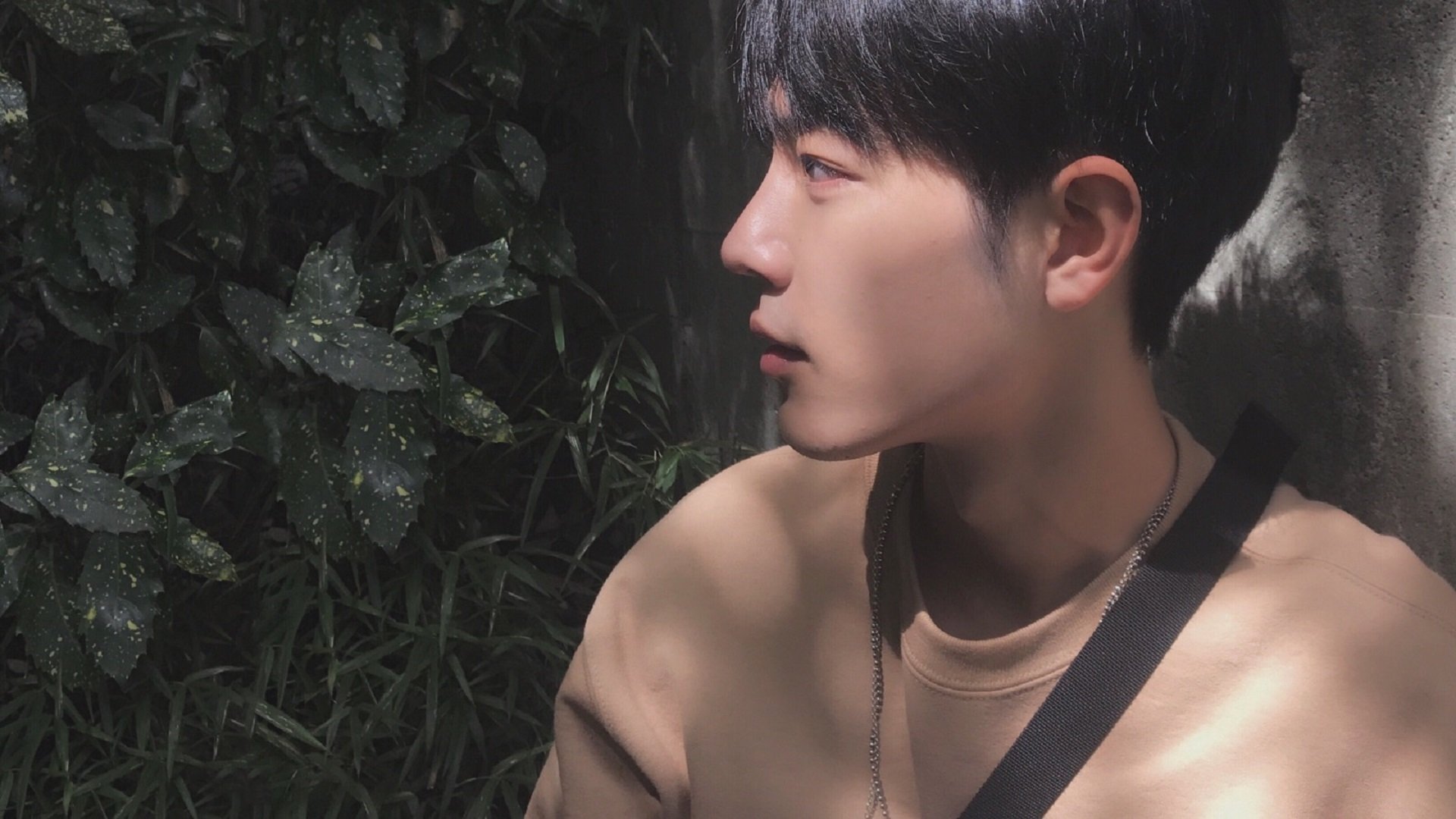 RNG新赛季宣传片发布,rng新赛季宣传片发布了吗