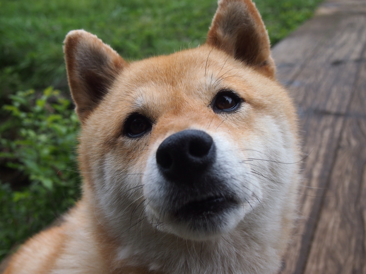 电竞与NBA周边产品打通渠道，nba球队电竞