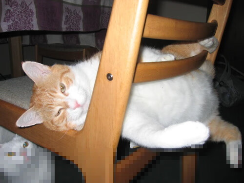 AYX GAME-米兰主帅谈球队未来，米兰近几年主帅