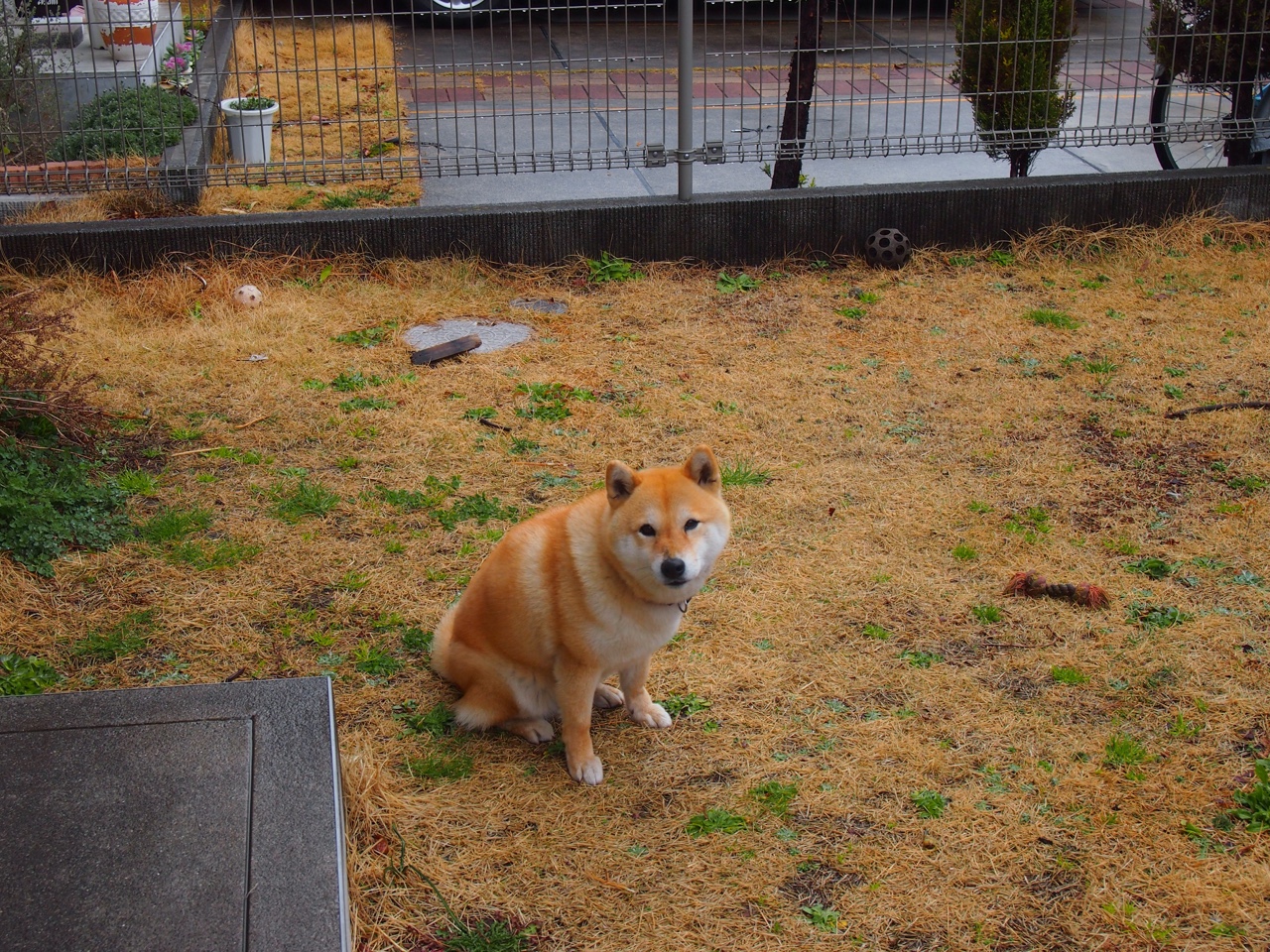 英格兰队获得进球之星，冰岛队败北惨遭淘汰,实力悬殊的较量令人唏嘘不已