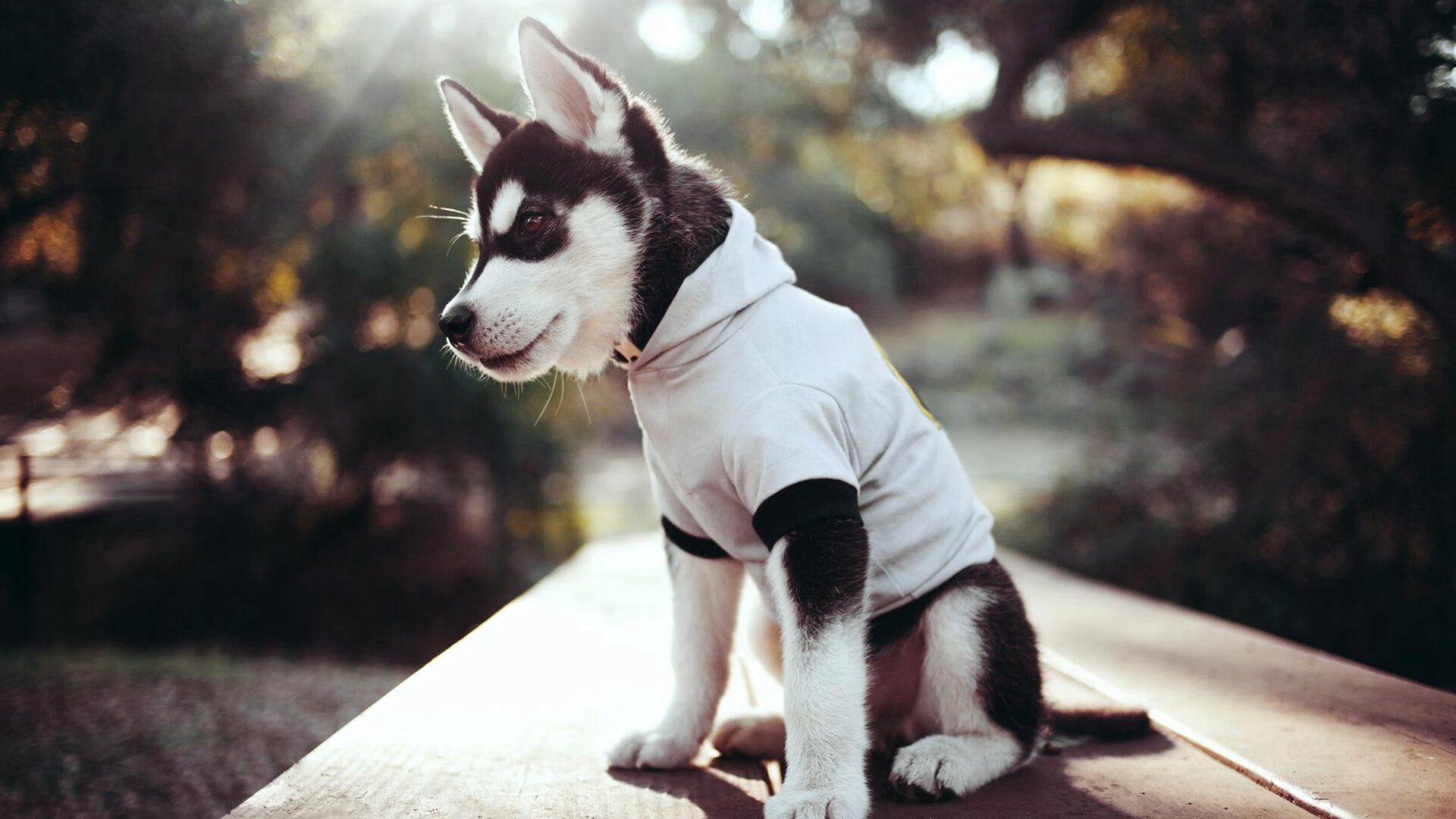 选手训练营正式启动,职业选手的训练赛是什么