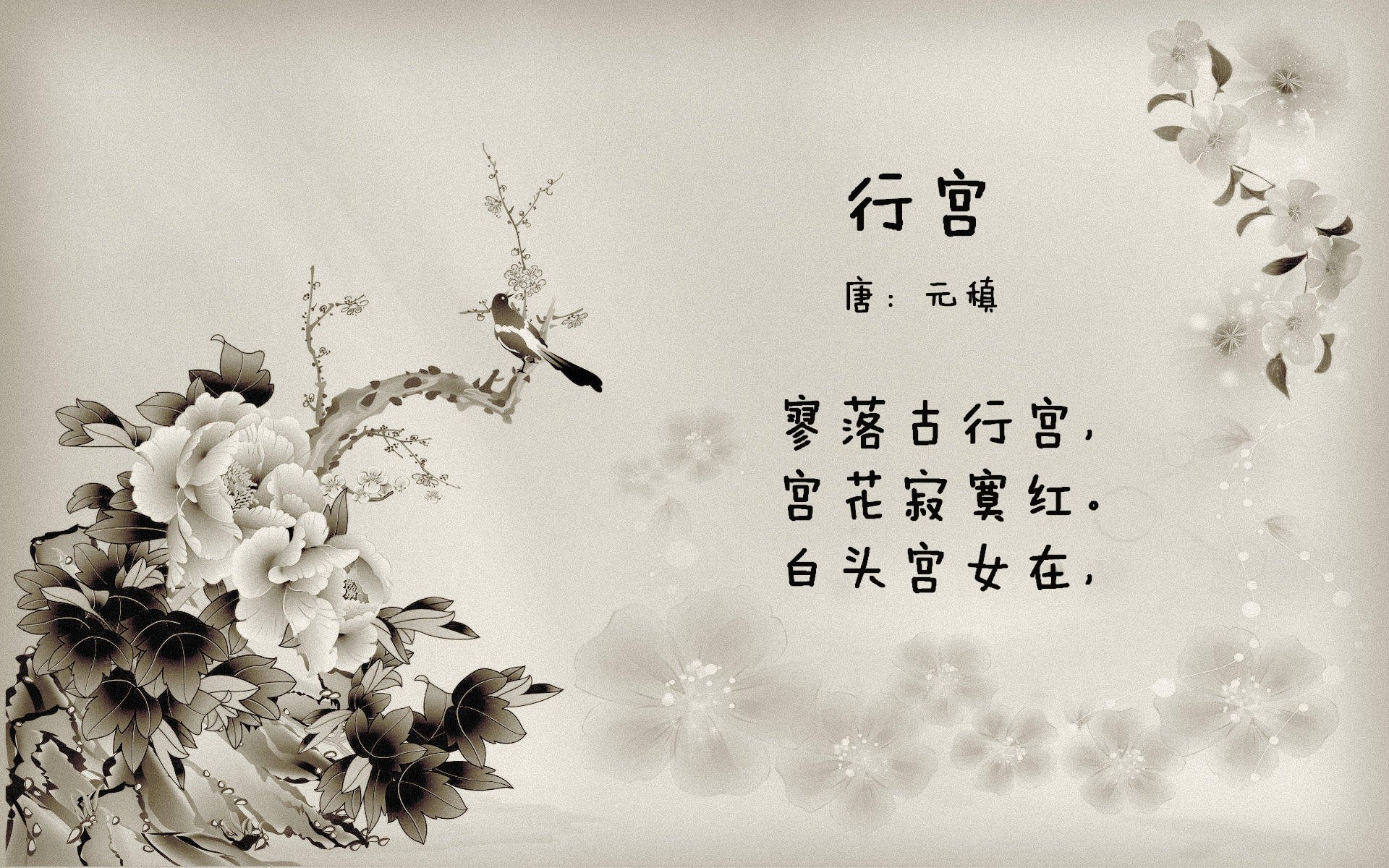 千叶喷射机季初状态回暖，日本千叶喷气机篮球队