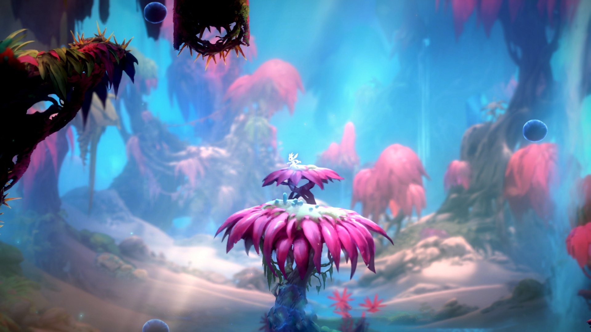 世界青少年滑板锦标赛在上海盛大揭幕,世界滑板锦标赛规则