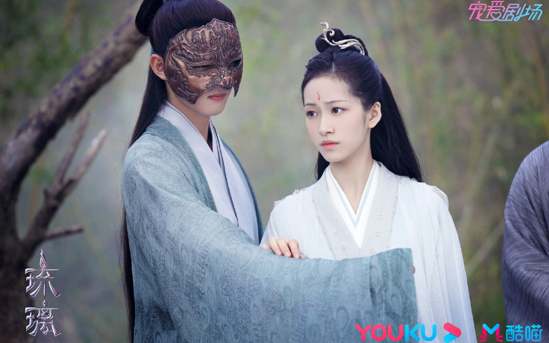 大湾区马拉松创历史最大规模,粤港澳大湾区赛马