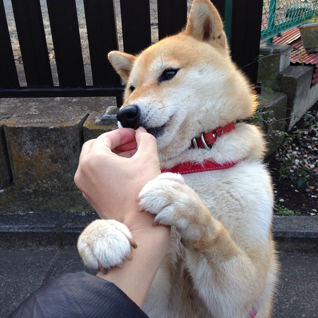 皇马续约核心球员，豪门信心满满，皇马 续约