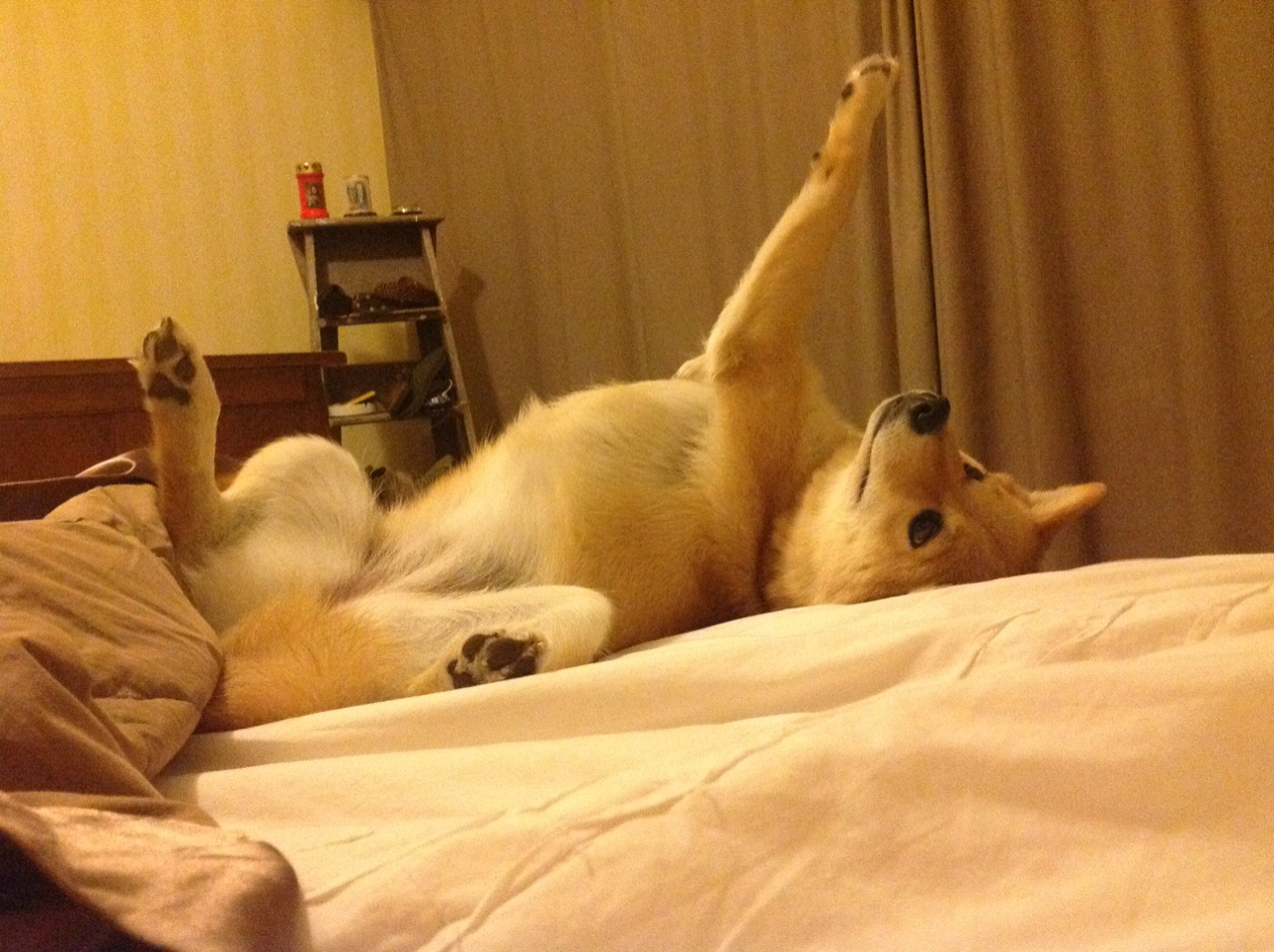 意大利淘汰巴拉圭,夺得欧洲杯小组赛胜利,意大利淘汰巴拉圭,夺得欧洲杯小组赛胜利了吗