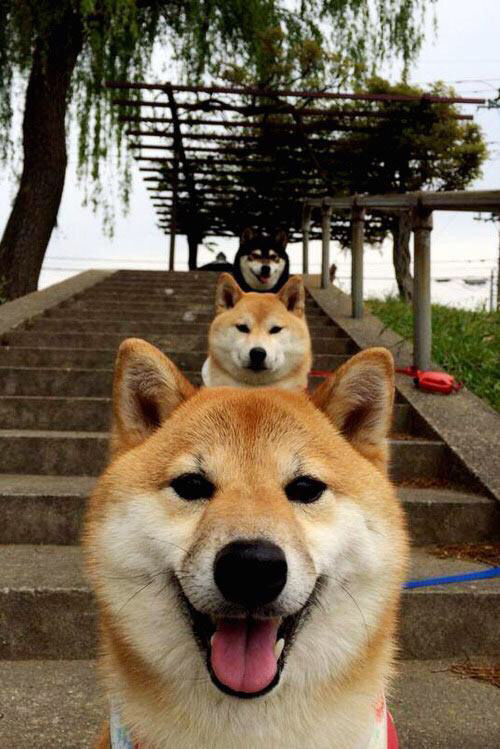 战术安排周密，比赛节奏激烈变化，一场比赛的战术分析