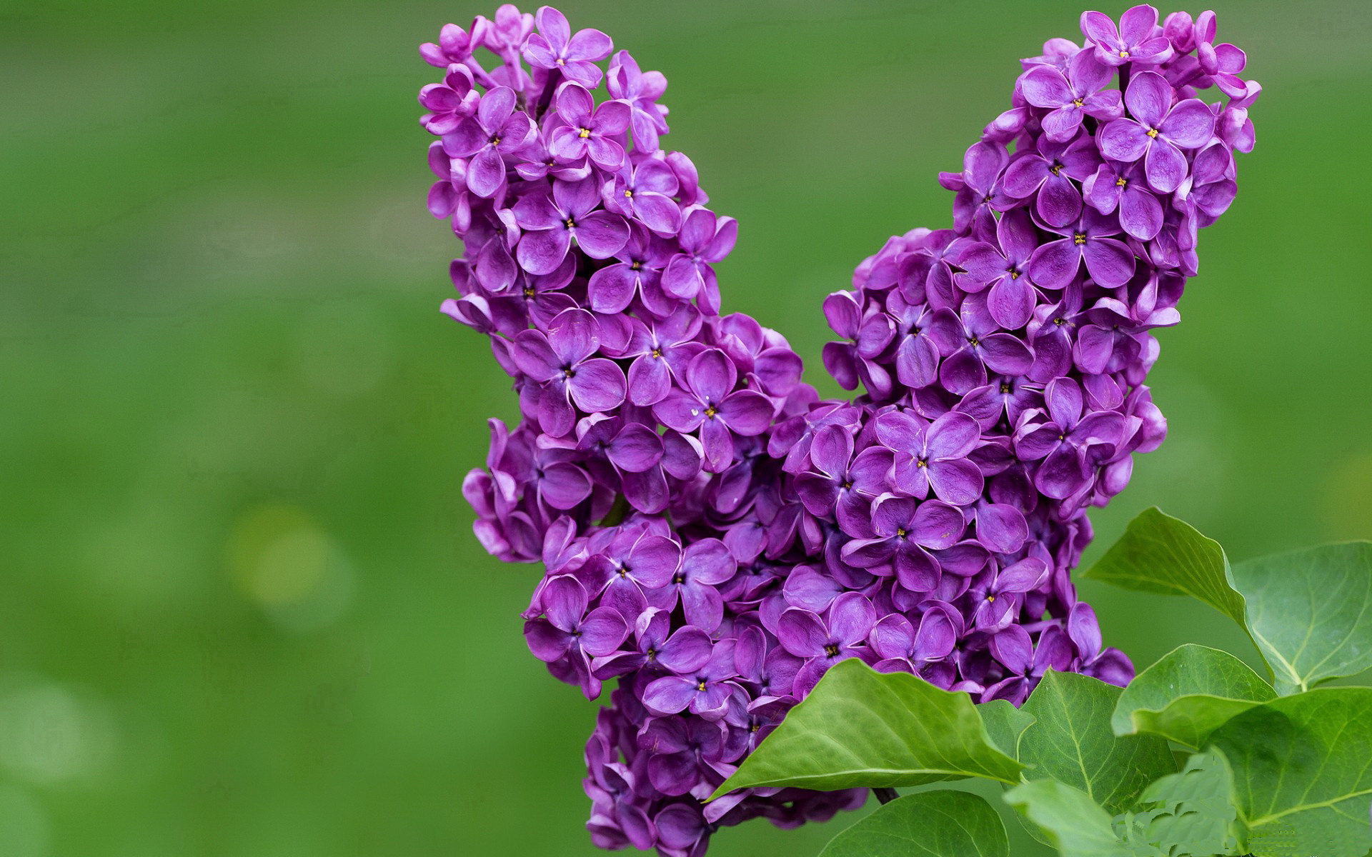 教育机构引入堡垒之夜设计教学