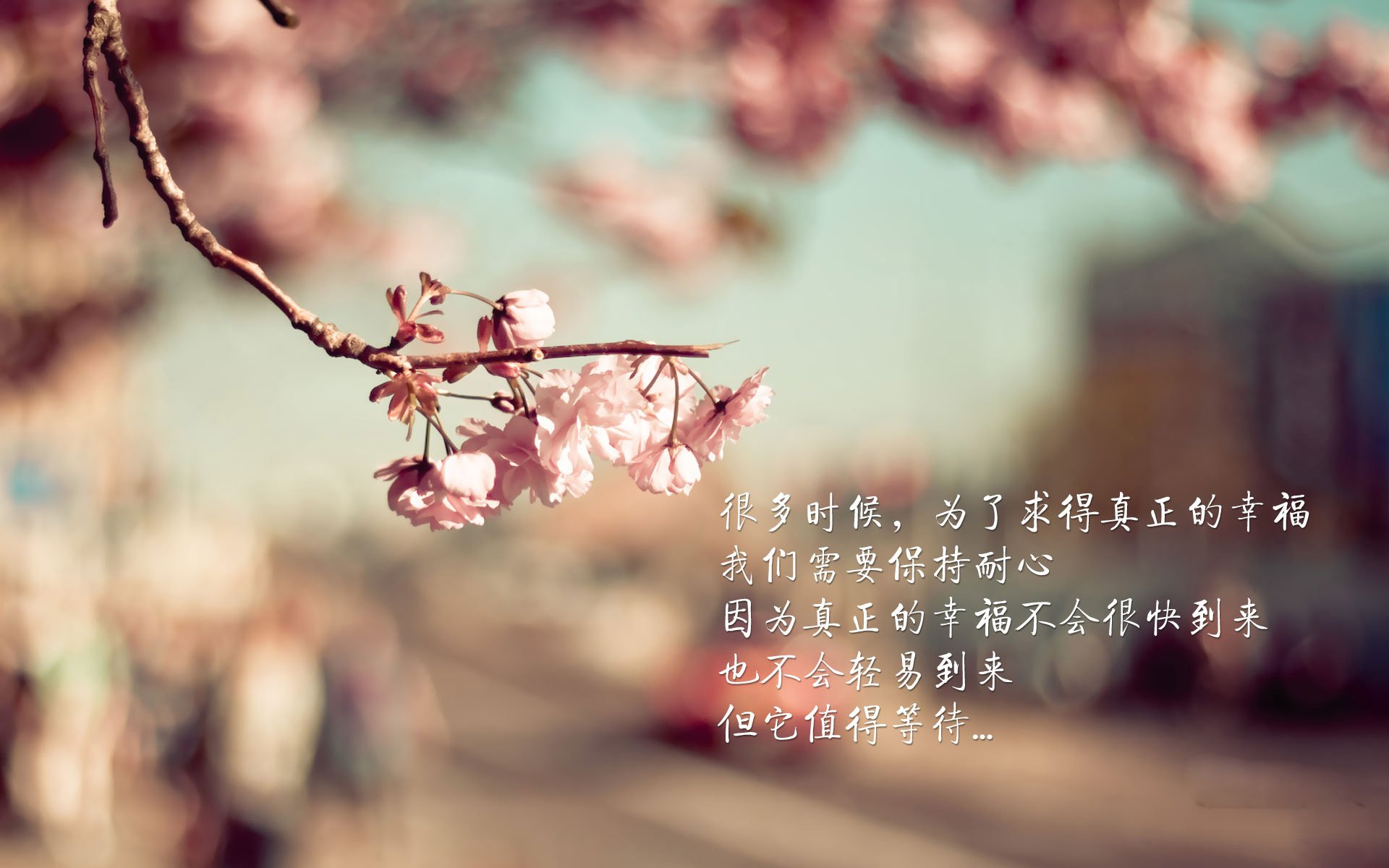 搏击台上竞技水平稳步提升，搏击进攻技巧