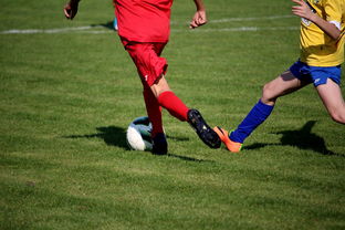 AYX体育官网-中小学篮球教研活动不断创新教学方法提升训练效果，篮球教研活动总结