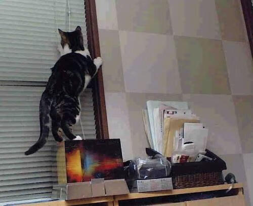 爱游戏体育官方网站-德甲球场周边经济贡献评估与城市联动价值，德甲球队城市分布