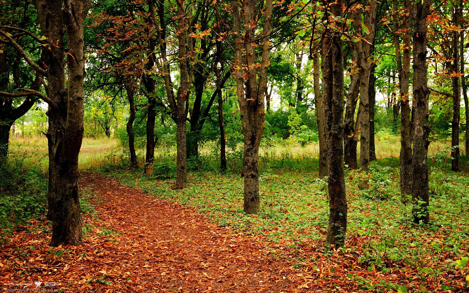 国际赛选手村文化节多国展示非遗与传统体育，传统村落非物质文化遗产