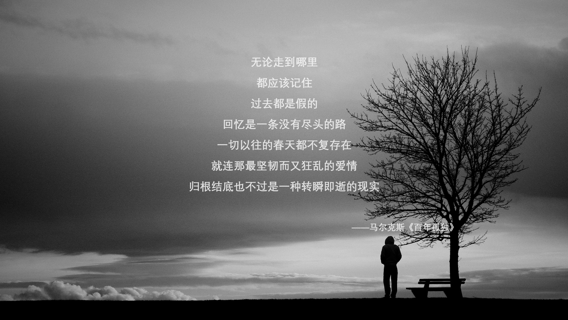 运动项目分级教学在小学体育课堂中的实践路径,大中小学体育运动技能等级标准