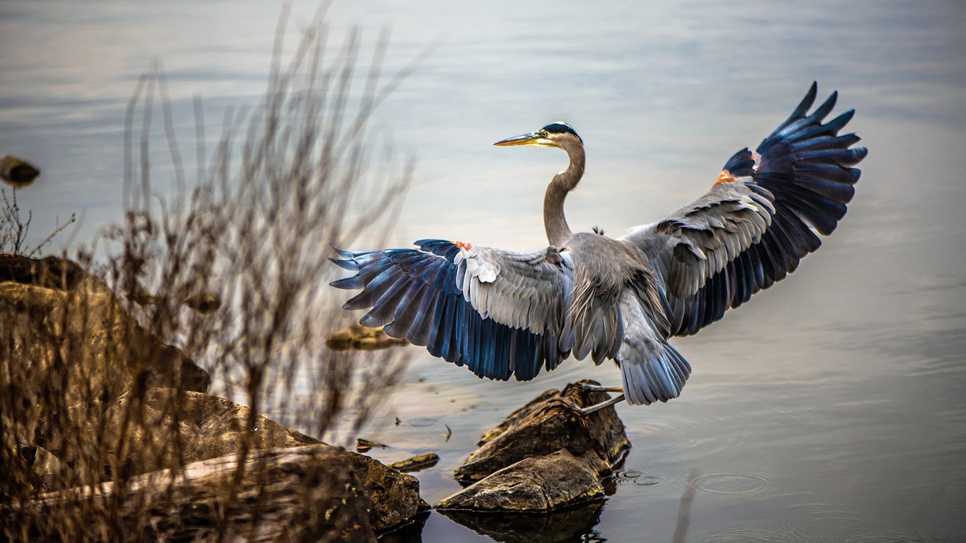 球员伤后坚持出战赢得观众尊重展现职业精神，球员受伤了还有工资吗