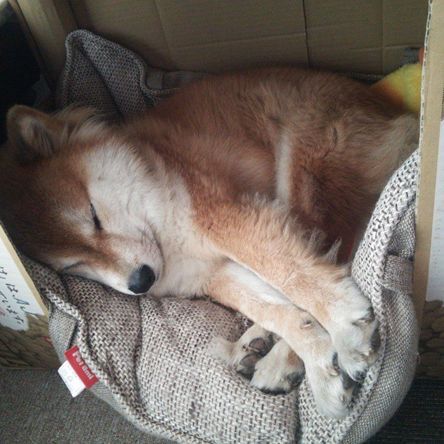 爱游戏下载-中国三人篮球女队赛场拼搏表现出色，中国三人篮球女队赛场拼搏表现出色的是谁