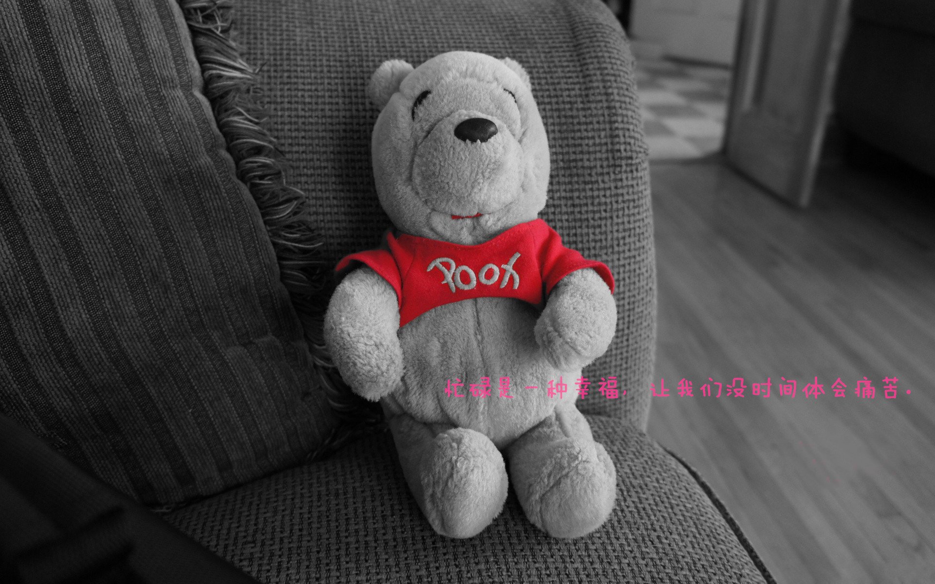 全运会文化节丰富群众参与形式,全运会群众比赛项目